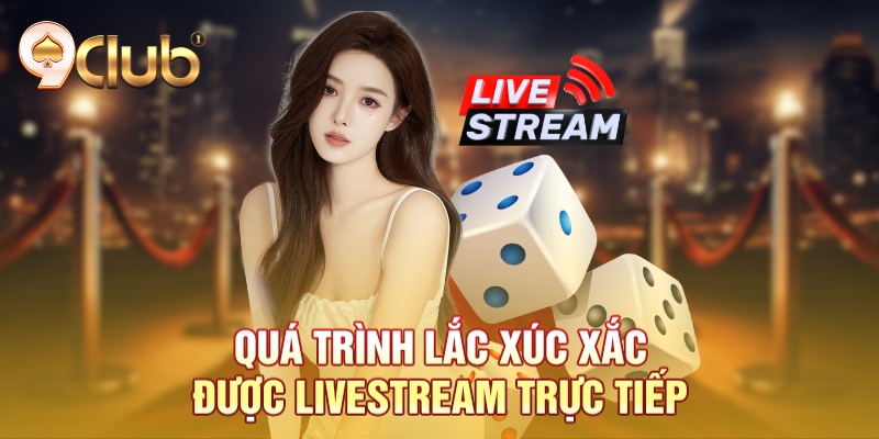 Quá trình lắc xúc xắc được livestream trực tiếp Quá trình lắc xúc xắc được livestream trực tiếp