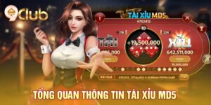 Tổng quan thông tin tài xỉu Md5